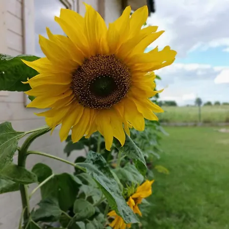 Casa vacanze Na Miedzy *